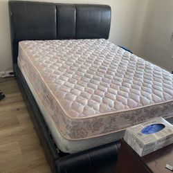 Queen Bed And Dresser 