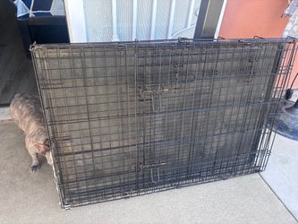Xl dog crate