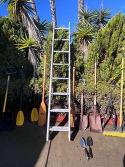 Mixed Yard Tools and Ladder Lot
