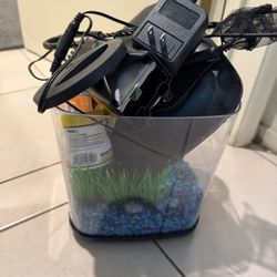 Small Fish Tank Set Up 