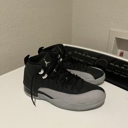 Jordan Retro 12