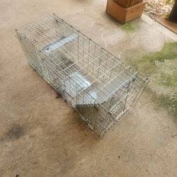 Animal Trap