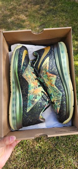Nike lebron 10 low champ pack jordan dunk asic new balance