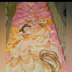 Princess Sleeping Bag-Belle, Sleeping Beauty, Cinderella Twin Size