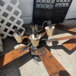 Two Beautiful Cabin Or Rustic Ceiling Fans 