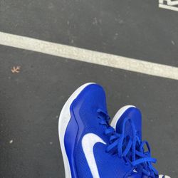 Kobe 8 TB ‘Game Royal’ Size 12