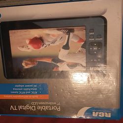 Portable TV