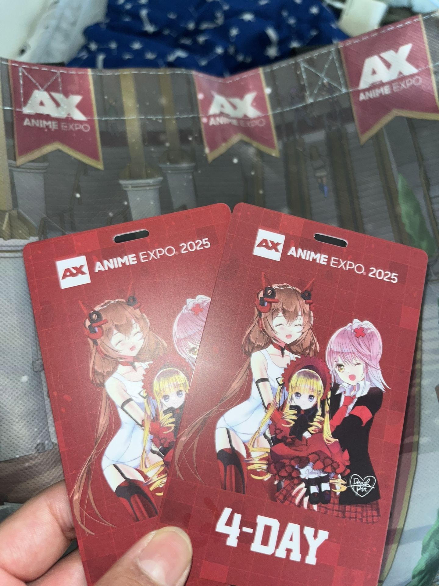 Anime Expo 2025 Sunday