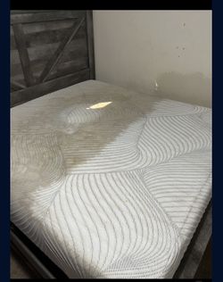 professional steam cleaner Free gift ($120 value)