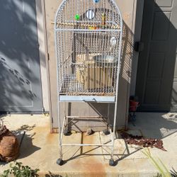 Bird Cage