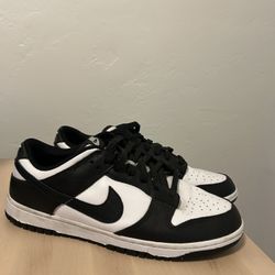 Nike Dunk Low Retro Casual Shoes