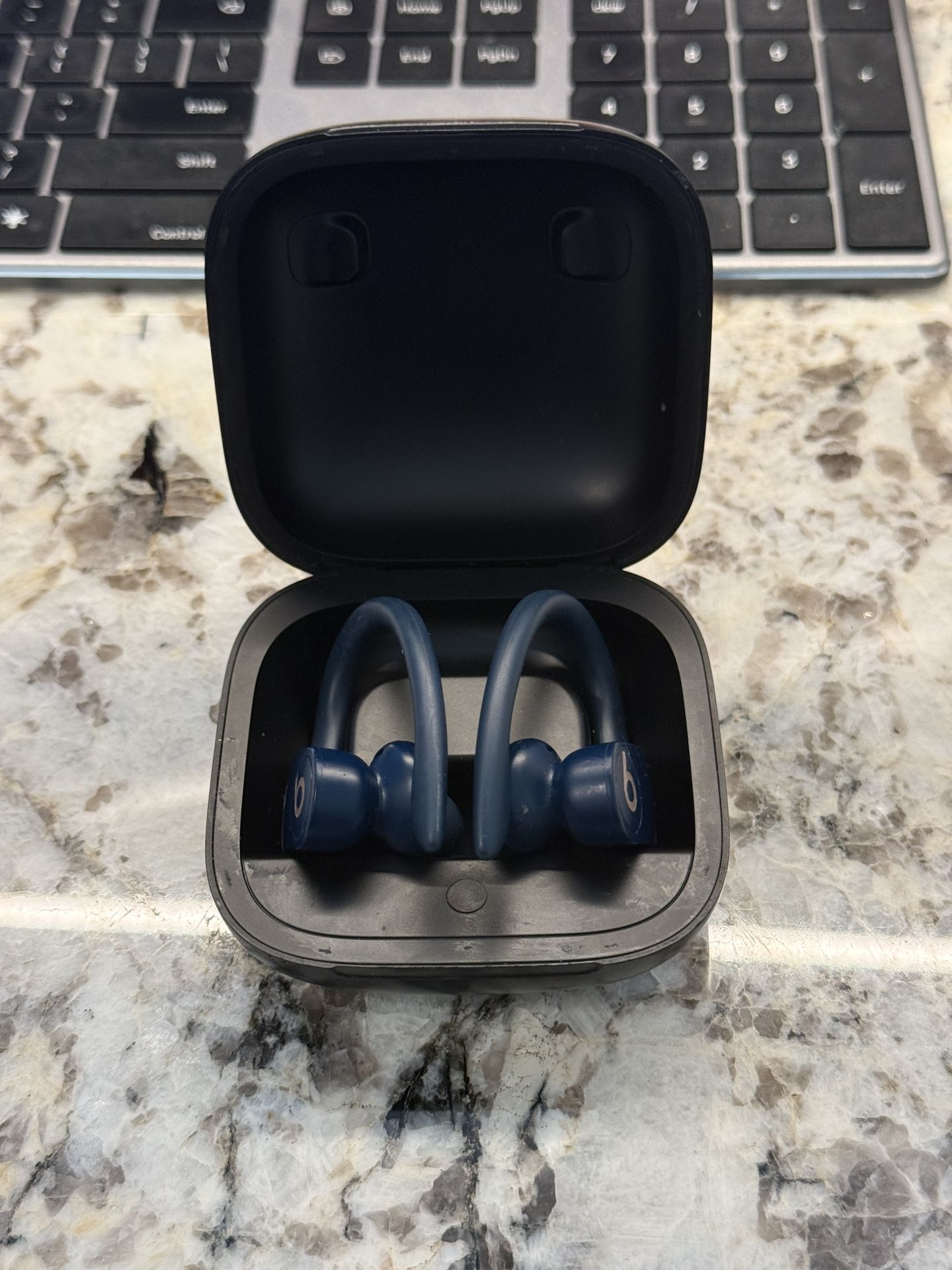 Beats Powerbeats Pro Wireless Earbuds – Navy Blue