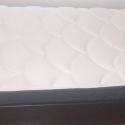 2 Twin Daybed Set,Slides  Under  Mattresses In Great Condition 