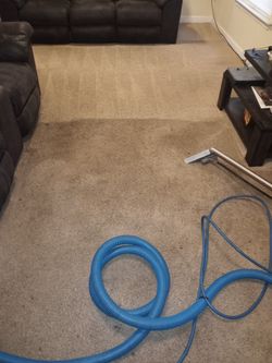 Quality Carpet Care 
