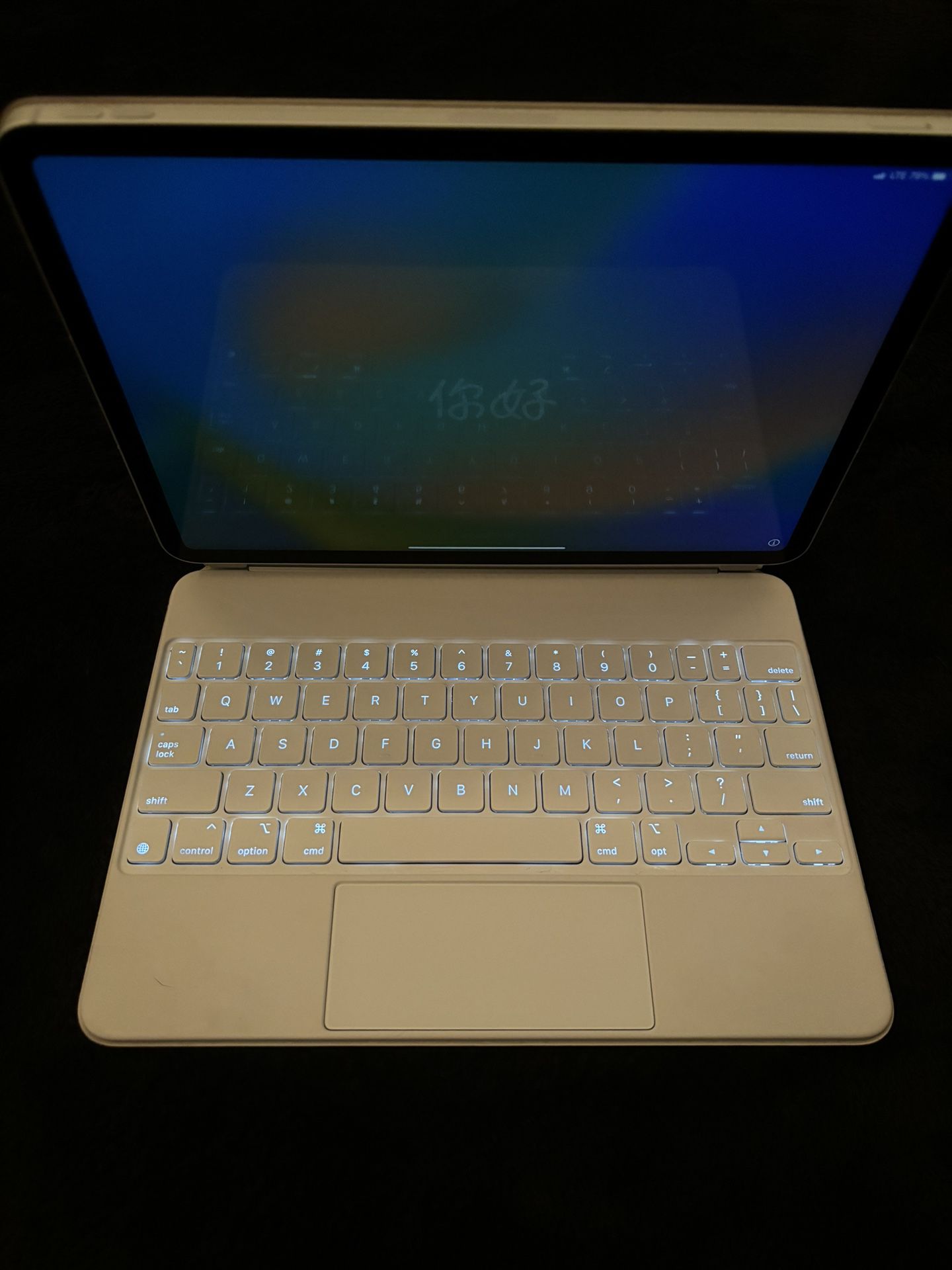 iPad Pro 11-inch 3rd Gen In Silver (256gb)