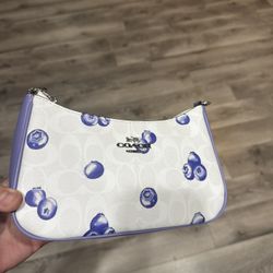 Coach Blueberry Purse With Shoulder Strap And Hand Bag Chain