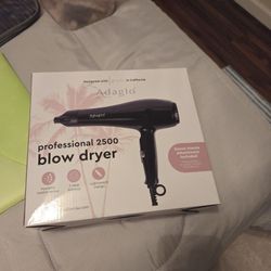 Blowdryer