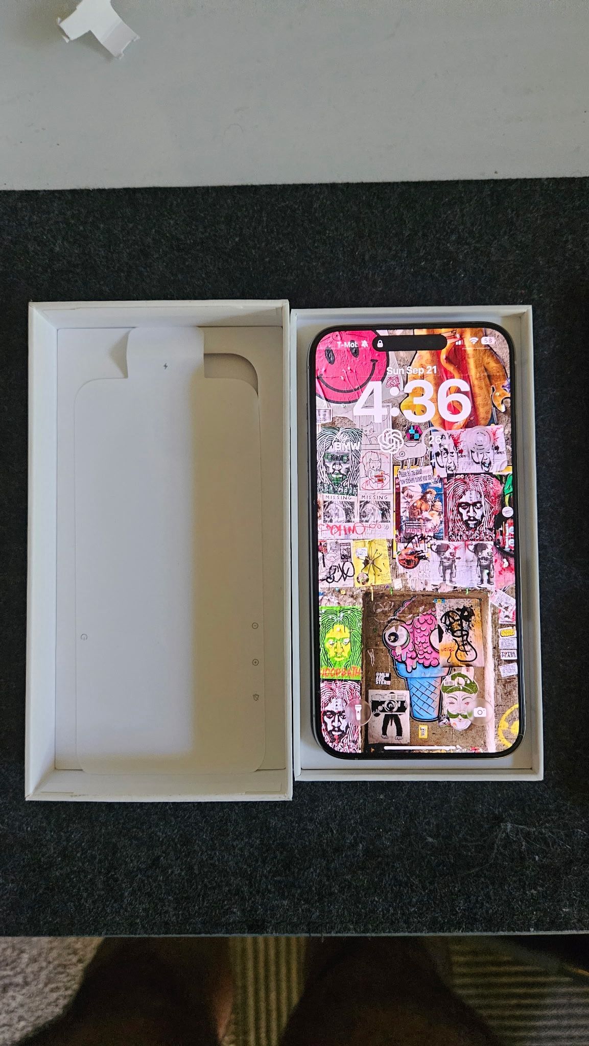iPhone 15 Pro Max 256 GB (unlocked)