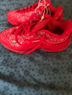 Lebron James signature shoes