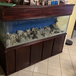 120 Gallon Fish Tank