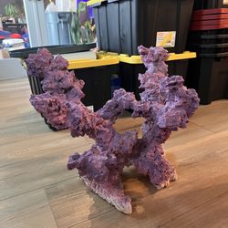 Aquarium Decor 