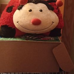 A Ladybug Pillow