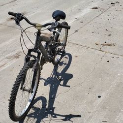 Next Mountain Bike, 24-in Tires