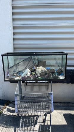 40 GL Aquarium Fish-Tank 🐠 $59