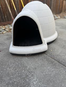 Dog house