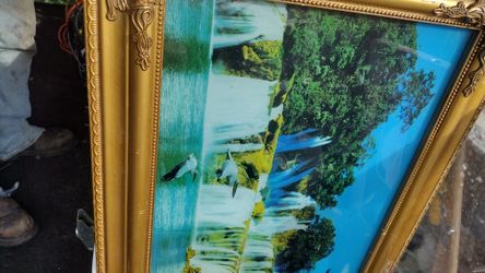 Moving Waterfall Picture