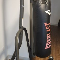Everlast Boxing Stand & 80 LB. Bag