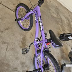 20 Inch Girl Bike