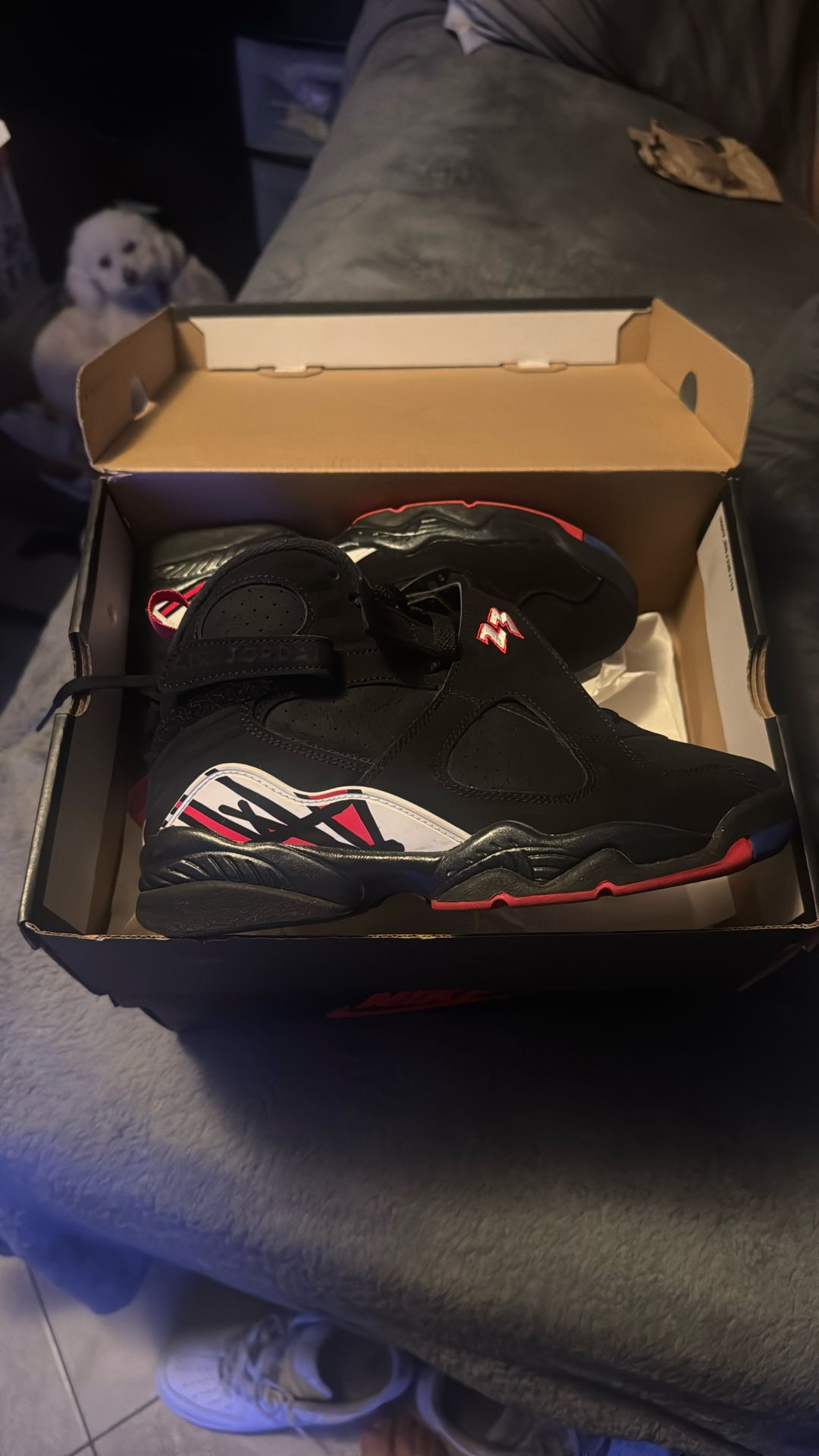 Jordan Retro 8