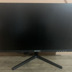 22” Monitor