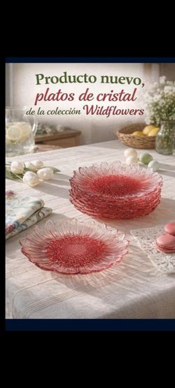 JUEGO DE 8 PLATOS MEDIANOS WILDFLOWER PRINCESS HOUSE ⚘️🌷