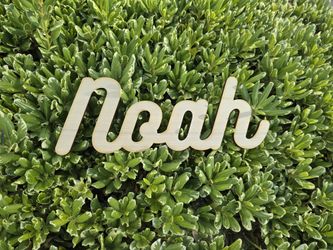Custom Name Laser