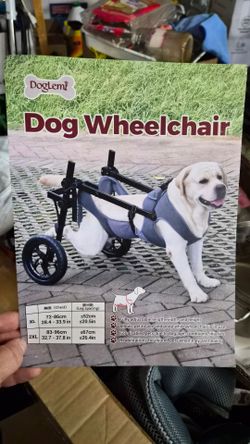 Size 2xl for large 🐕  used for 3 days