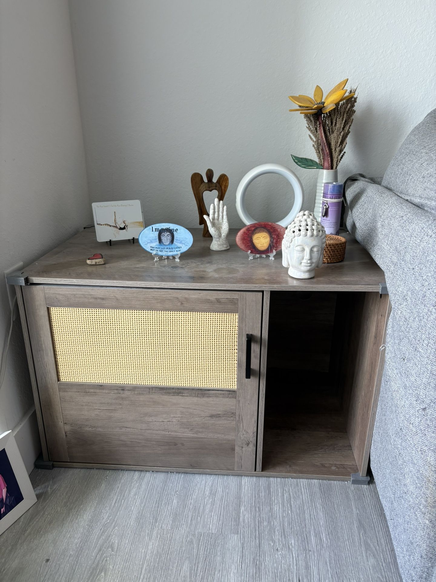 Cabinet Side Table/Cat Litter Enclosure