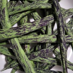 Rare Organic Rattlesnake Pole Bean Seeds! 2026 SEASON EARLY RELEASE! 