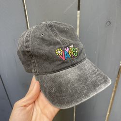 Dad hats - Vans/Tillys 