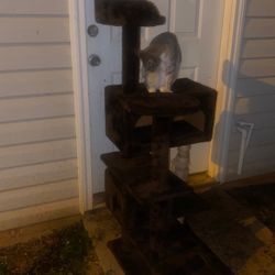 Cat Scratch Post U