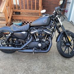 2021 Harley Davidson Iron 883