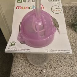 Munchkin Any Angle Weighted Straw Cup.