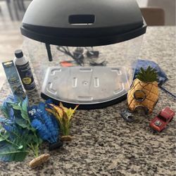 Fish Tank & Accessories 