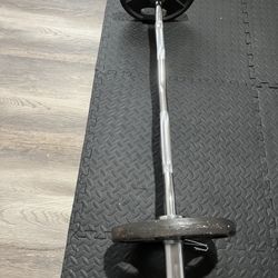 ( 2 ) 25 Pound Plates + curl Bar 