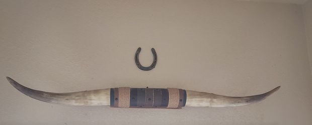 43" Authentic Steer Horns