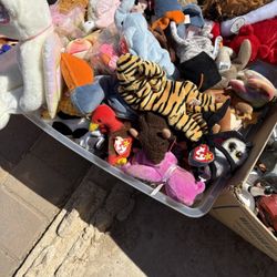 Huge Lot Of Beanie Babies 