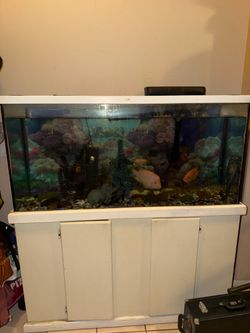 Fish tank/stand with fish