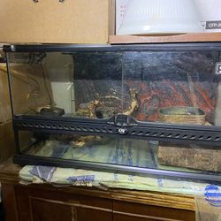 Exo Terra Reptile Enclosure 