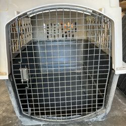 Pet Kennel